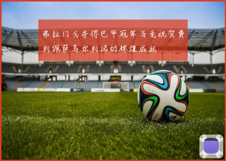 弗拉门戈夺得巴甲冠军马竞祝贺费利佩萨乌尔利诺的辉煌成就