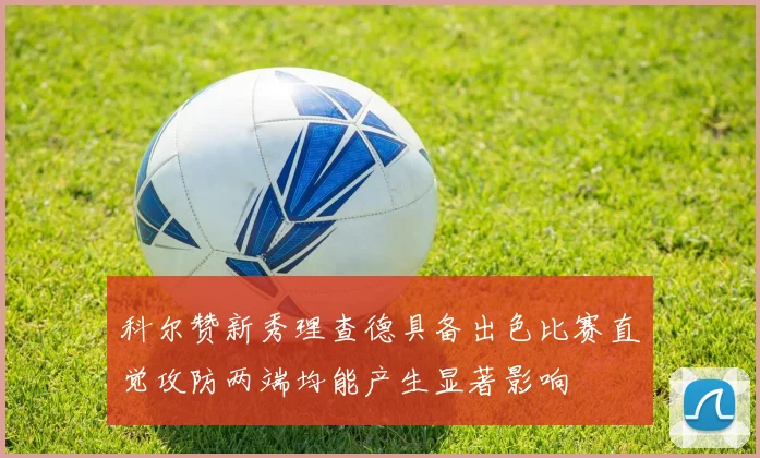 科尔赞新秀理查德具备出色比赛直觉攻防两端均能产生显著影响