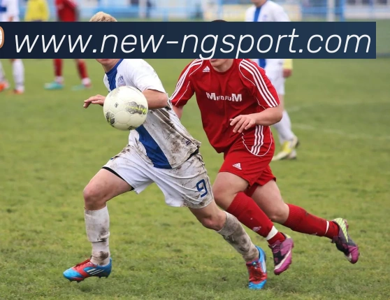 南宫体育平台生态图